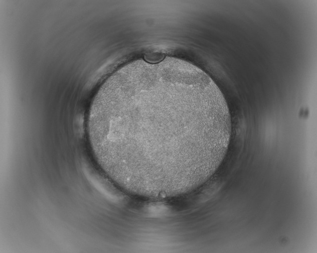 X0000112830262200909181656