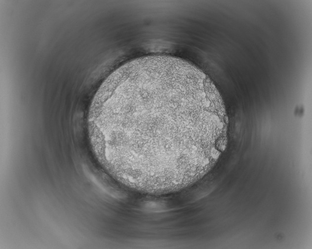 X0000112830263200909181656