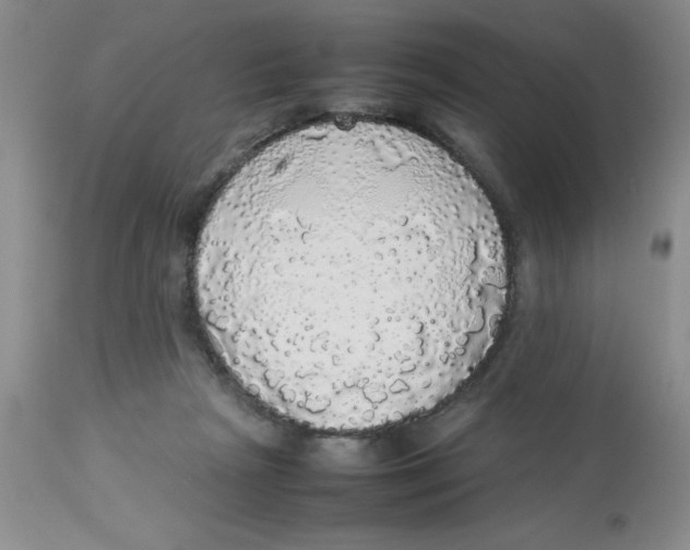 X0000112830265200909181656