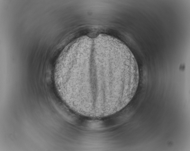 X0000112830266200909181656