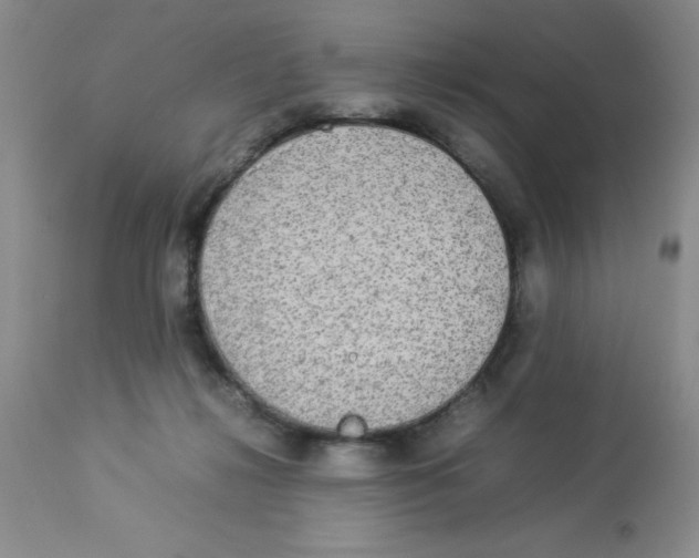 X0000112830268200909181656