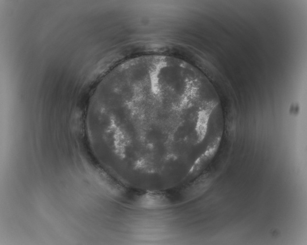 X0000112830270200909181656