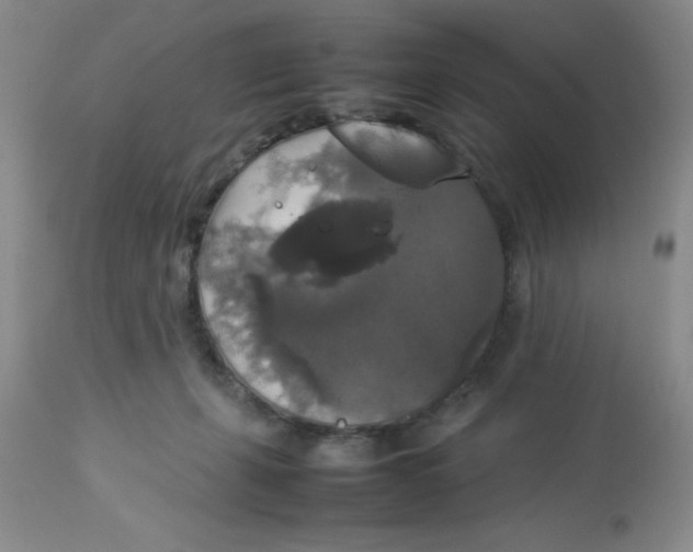 X0000112830271200909181656