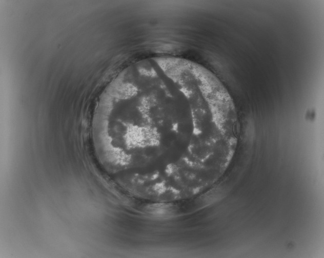 X0000112830273200909181656