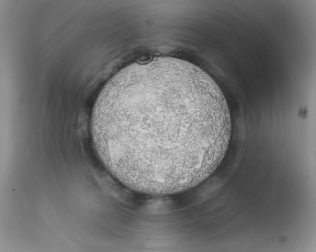 X0000112830274200909181656