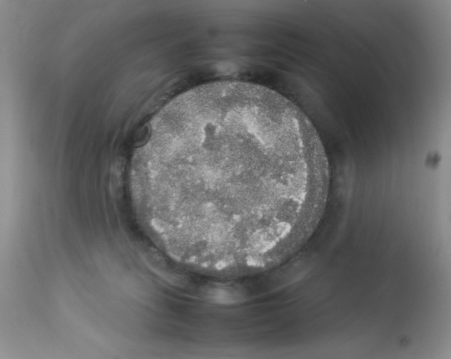 X0000112830275200909181656