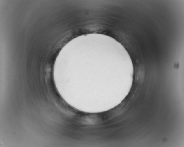 X0000112830279200909181656