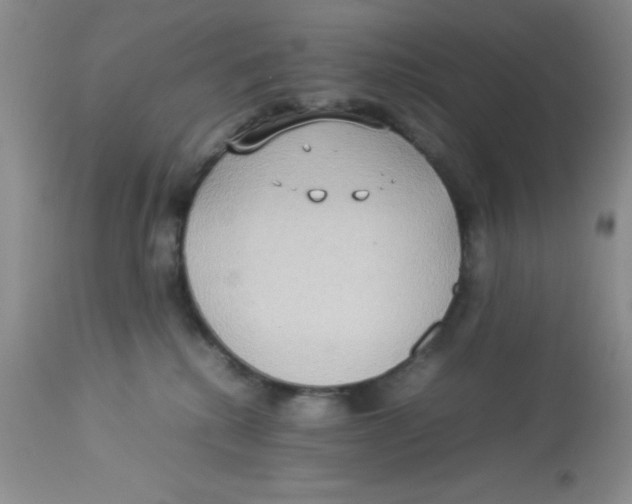 X0000112830280200909181656