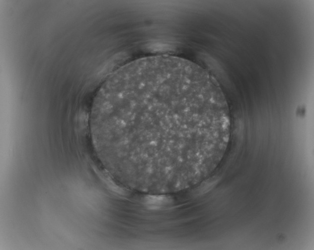 X0000112830281200909181656