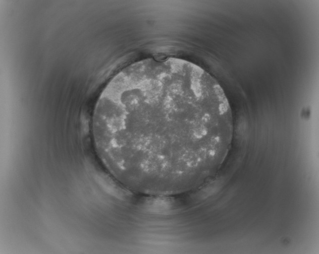 X0000112830282200909181656