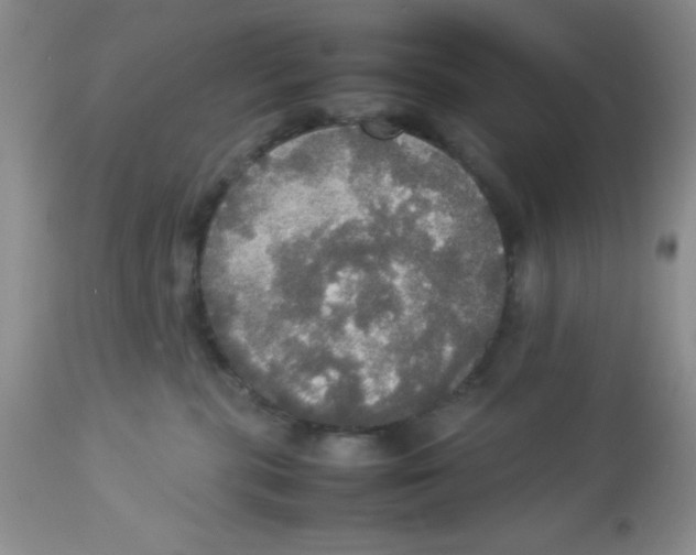 X0000112830283200909181656