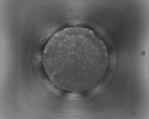 X0000112830284200909181656