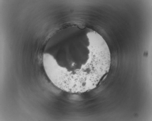 X0000112830285200909181656