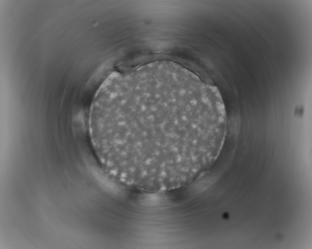 X0000112830286200909181656