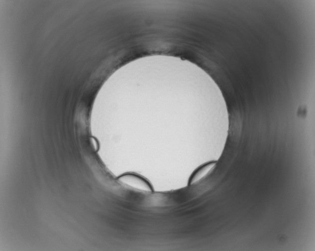 X0000112830287200909181656