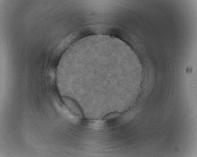 X0000112830288200909181656