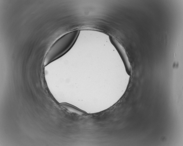 X0000112830289200909181656