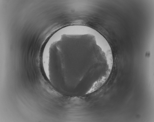 X0000112830290200909181656