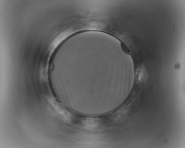 X0000112830292200909181656