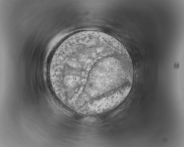 X0000112830294200909181656