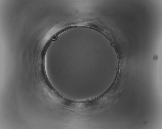 X0000112830295200909181656