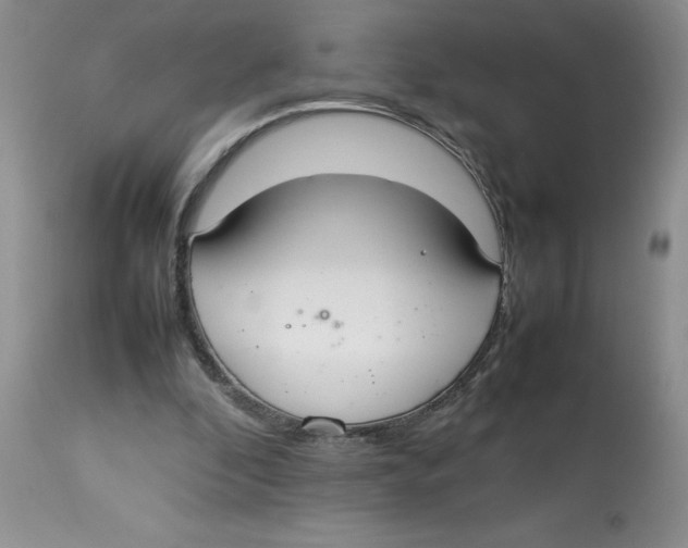 X0000112830296200909181656