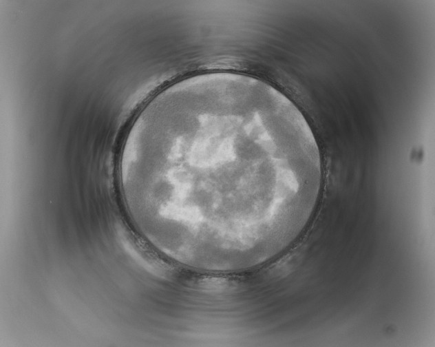 X0000112830298200909181656