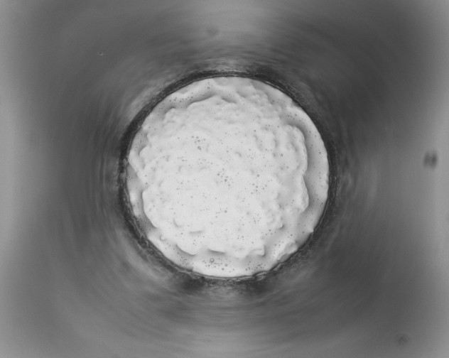 X0000112830299200909181656