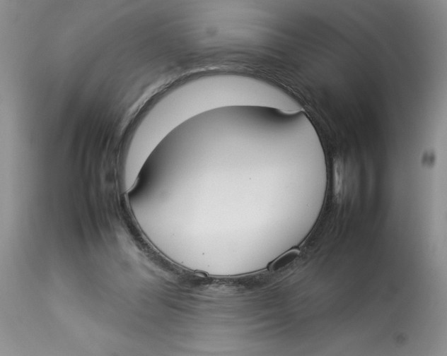 X0000112830300200909181656