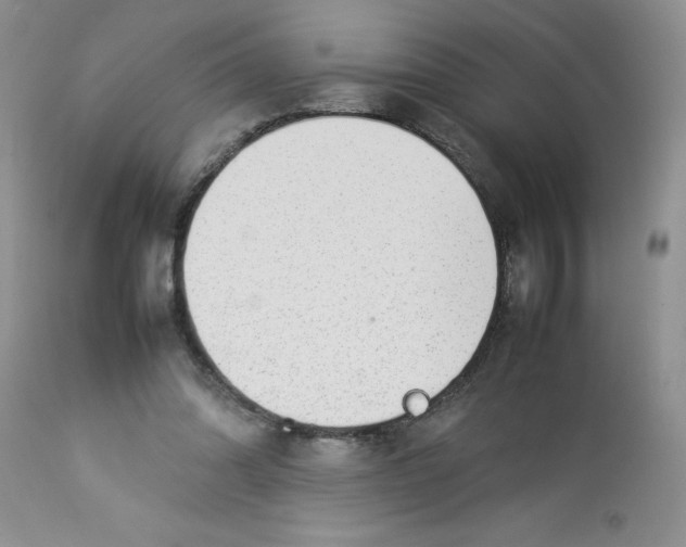 X0000112830302200909181656