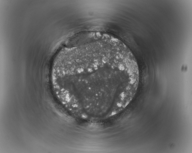 X0000112830303200909181656