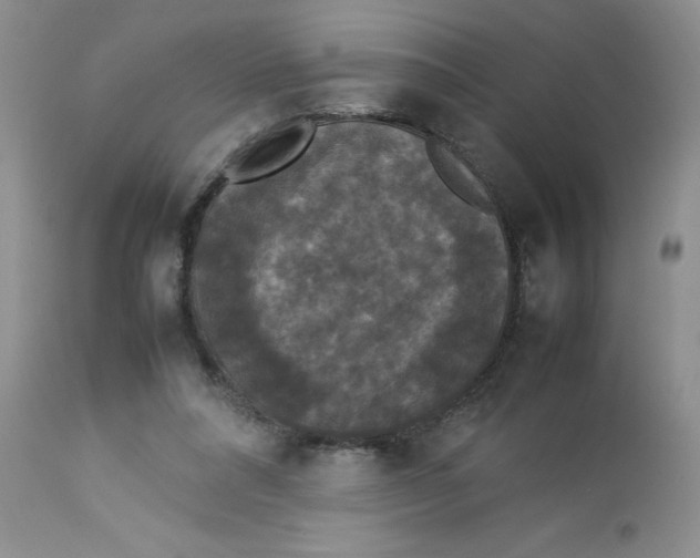 X0000112830304200909181656