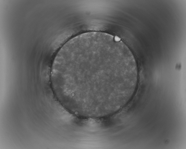 X0000112830305200909181656