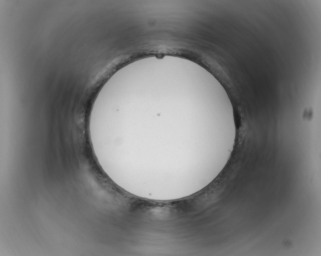 X0000112830306200909181656