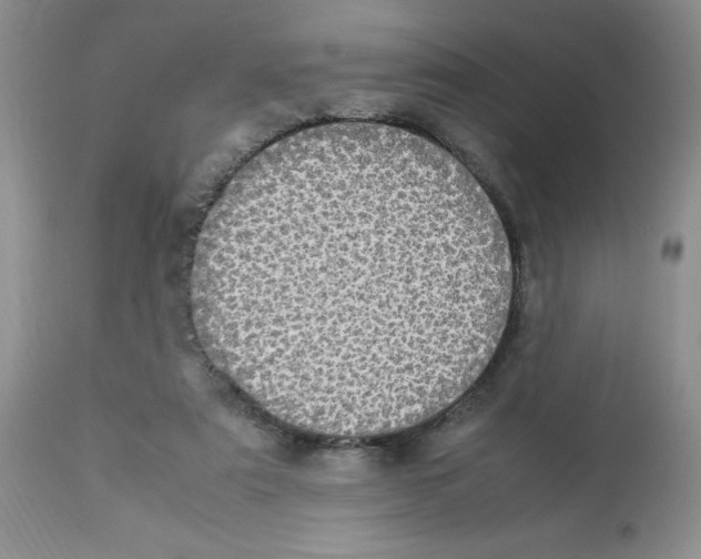 X0000112830307200909181656