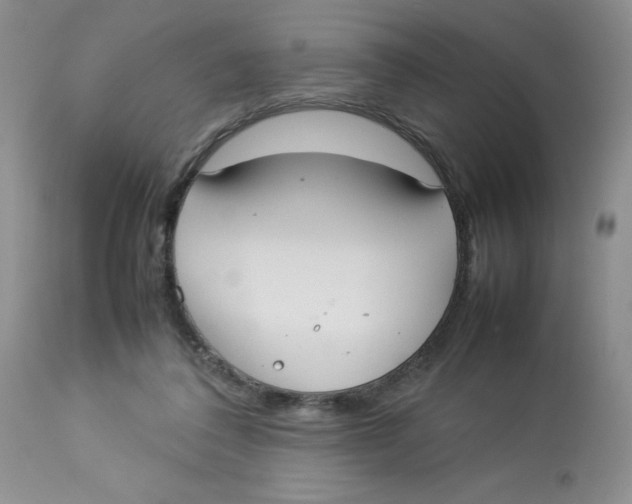 X0000112830308200909181656