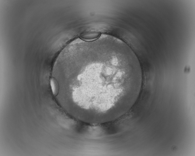 X0000112830309200909181656