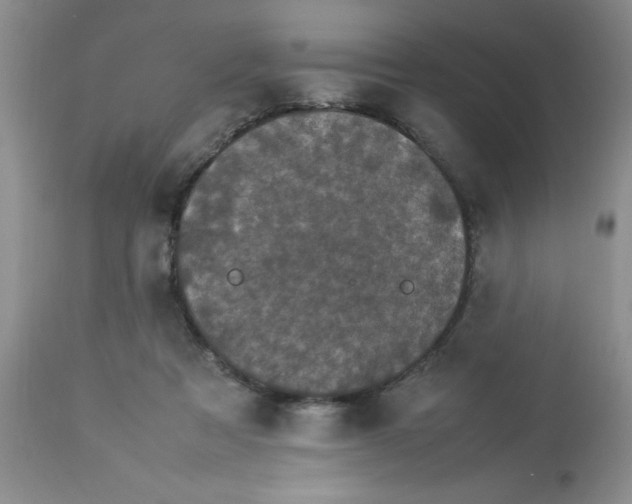 X0000112830313200909181656