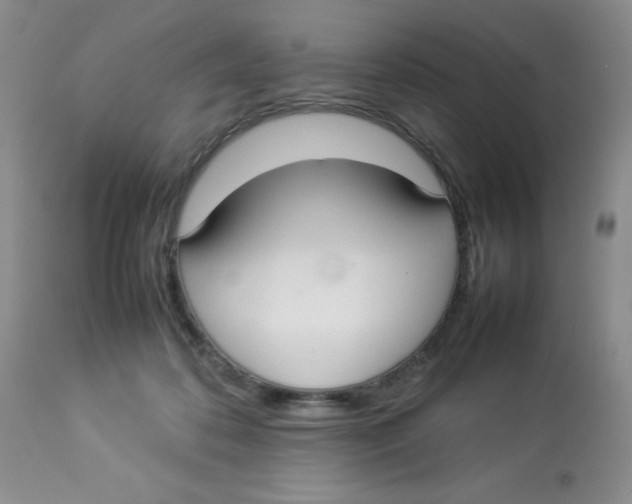 X0000112830316200909181655