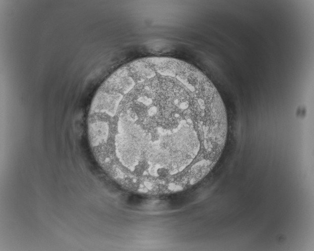 X0000112830319200909181655