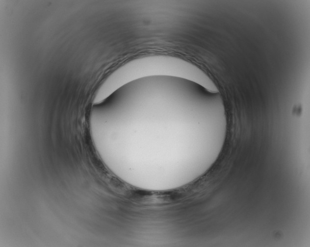 X0000112830320200909181655