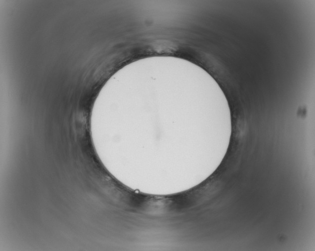 X0000112830321200909181655