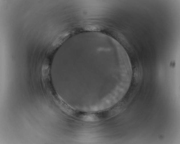 X0000112830322200909181655