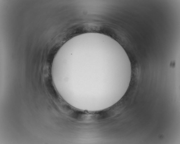 X0000112830323200909181655