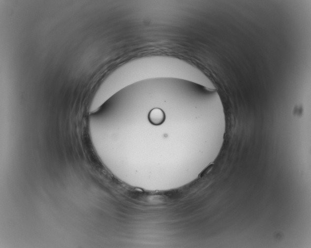 X0000112830324200909181655