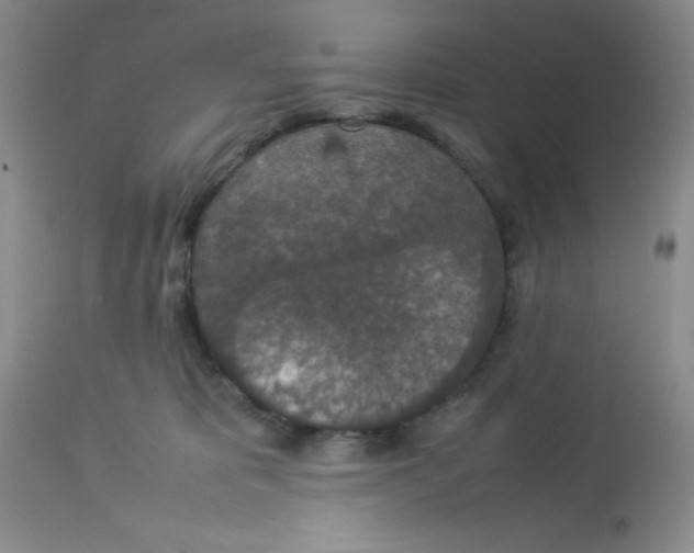 X0000112830325200909181655