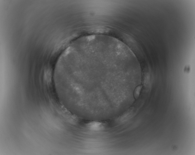 X0000112830326200909181655