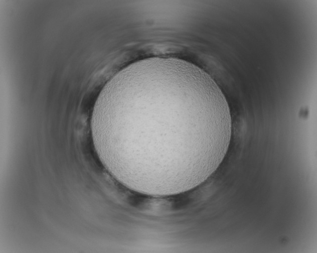 X0000112830327200909181655