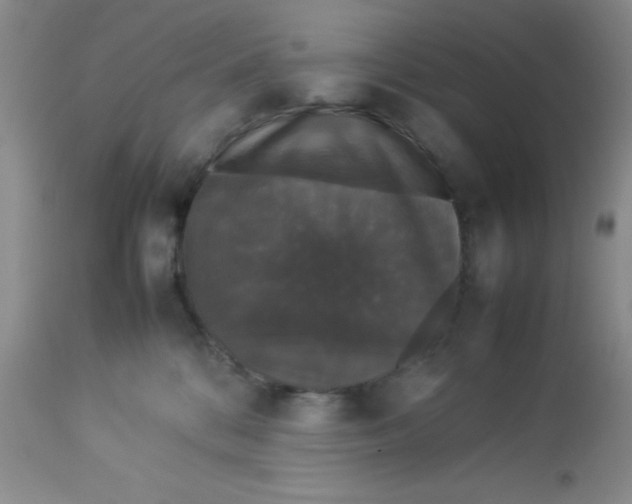 X0000112830328200909181655