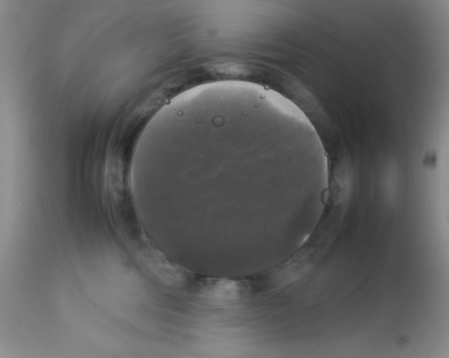 X0000112830330200909181655